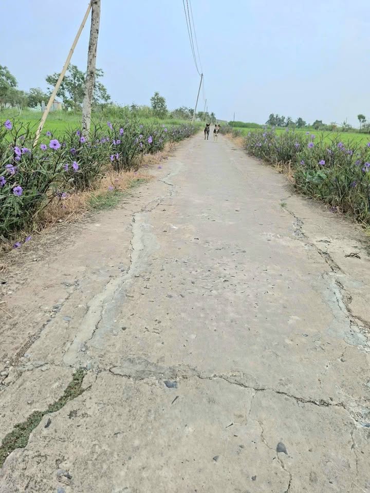 Đất nền Ấp Kinh Giữa, Gò Công Đông, 1000m² giá 670 triệu - Cơ hội đầu tư hấp dẫn!