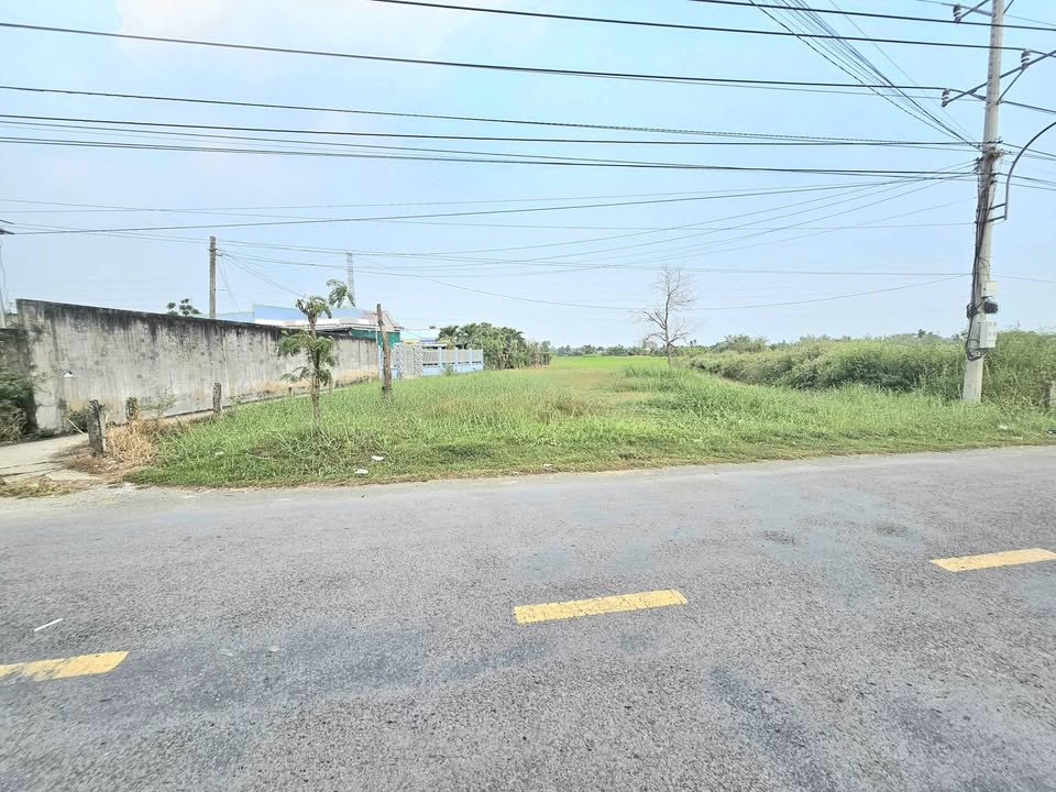 Đất nền mặt tiền tỉnh Lô 873, Gò Công Đông 1070m² - Cơ hội đầu tư sinh lời!