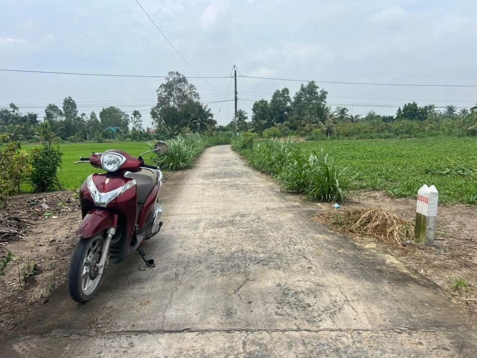 Đất thổ cư 103m² tại Gò Công - Giá chỉ 280 triệu - Sổ hồng chính chủ!