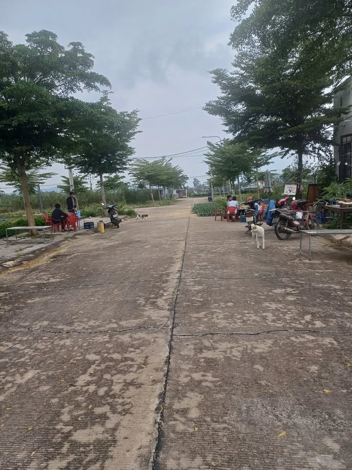 Đất nền Khu dân cư Tây Sông Vệ 100m² giá 7xx triệu - Cơ hội đầu tư hấp dẫn!