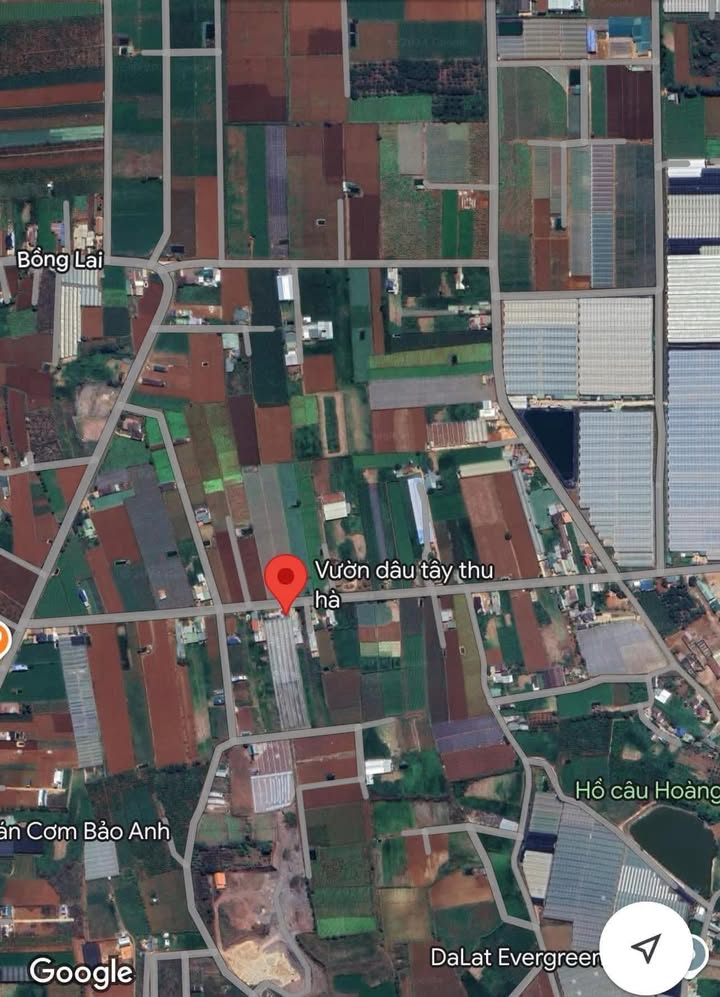 Đất nền Đạ Ròn, Đơn Dương 8000m² giá 18 tỷ - Đầu tư sinh lời ngay!