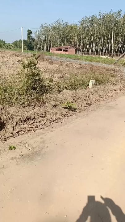 Đất thổ cư ấp Vịnh, xã An Cơ 175m² giá 160 triệu - Sổ hồng công chứng ngay!