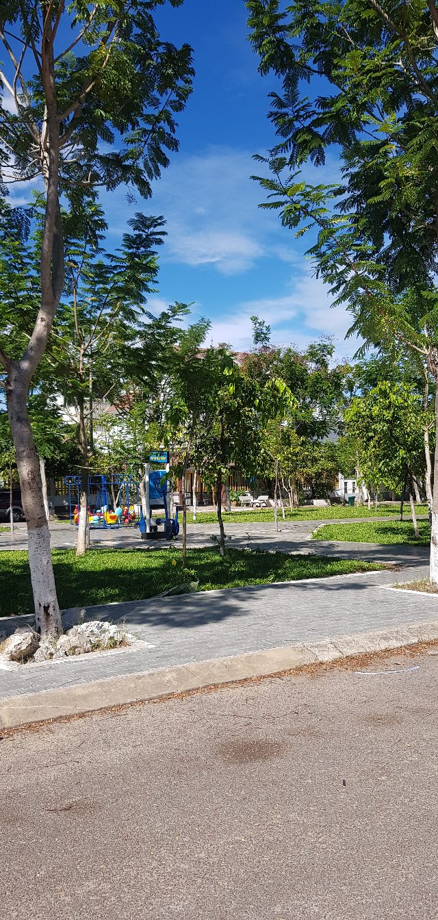 Đất mặt tiền đường Trần Xuân Soạn, Phường Quy Nhơn Đông 120m² giá 4 tỷ - Cơ hội đầu tư sáng giá!