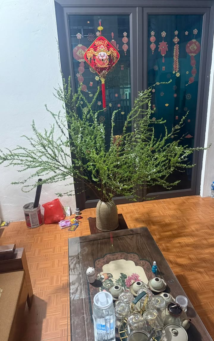 Đất nền Vạn Phúc Hà Đông 40m² giá 2.2 tỷ - Cơ hội đầu tư sinh lời!