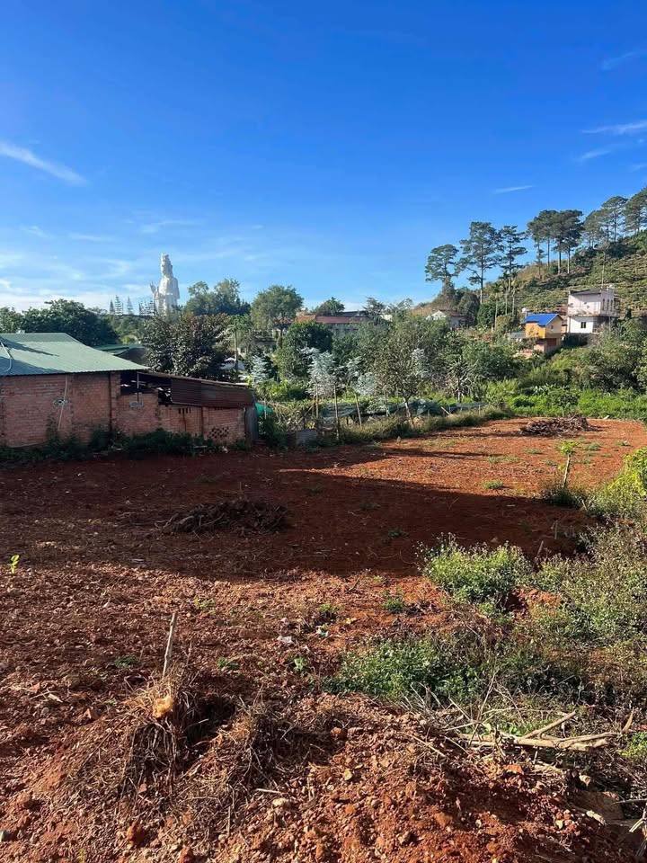 Đất thổ cư Ba Đình, Nam Ban Lâm Hà 1906m² giá 8.5 tỷ - View Tượng Phật Bà tuyệt đẹp!