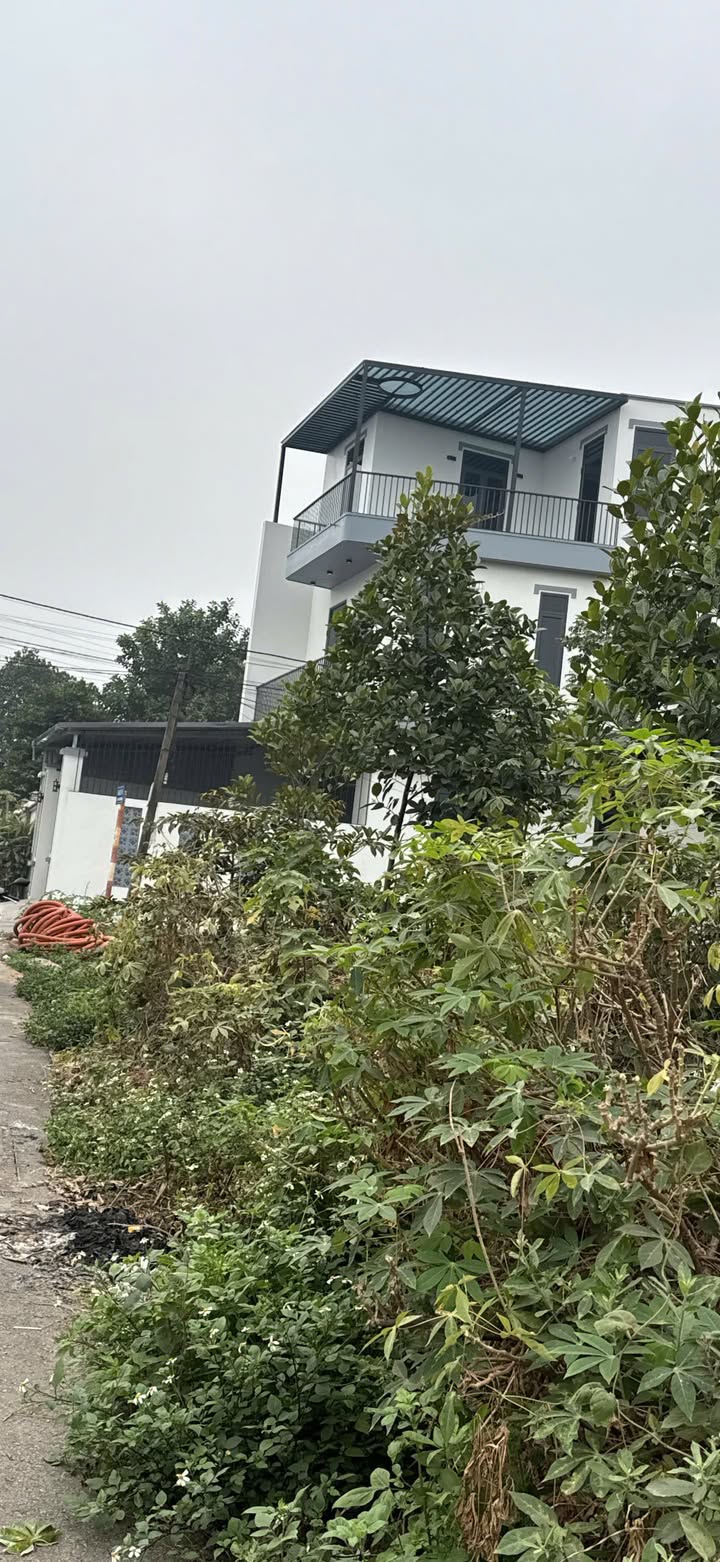 Đất nền kinh doanh tại Đồng Tâm - Vĩnh Yên 100m² giá 2.4 tỷ - Cơ hội đầu tư tốt!