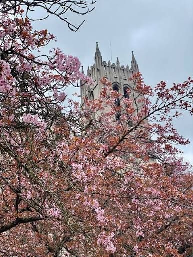 Nhà gần chợ số 6, phường 7, Đà Lạt 94m² giá 1.5 tỷ - Sổ hồng đầy đủ!