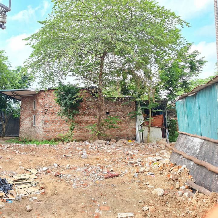 Đất Kim Sơn, Gia Lâm 46m² giá chỉ 2 tỷ - Ngõ rộng, trung tâm thuận lợi!