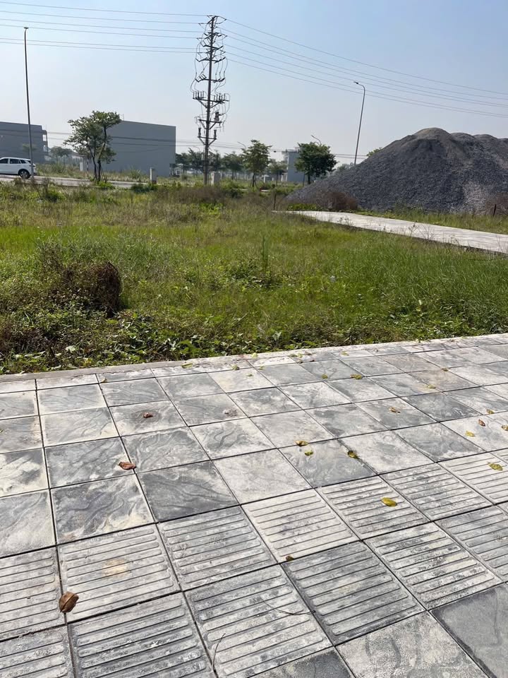 Đất nền LK8 Khu đô thị Hoàng Diệp 100m² giá 3 tỷ - Tiềm năng tăng giá vượt trội!