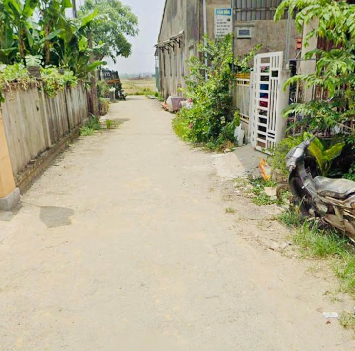 Đất nền đường Lý Thái Tổ, TP Huế 71.6m² - Giá chỉ 850 triệu, thương lượng!