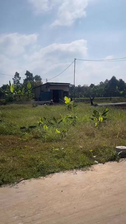 Đất mặt tiền đường Petong, Gia Kiệm 135m² giá 670 triệu - Sổ riêng, thổ cư, đầu tư sinh lời!