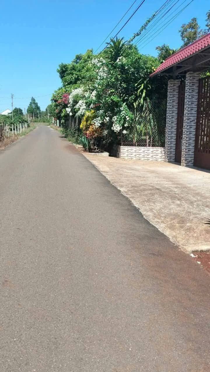 Đất thổ cư Bàu Chinh, Huyện Châu Đức 310m² giá 920 triệu - Khu dân cư sầm uất!