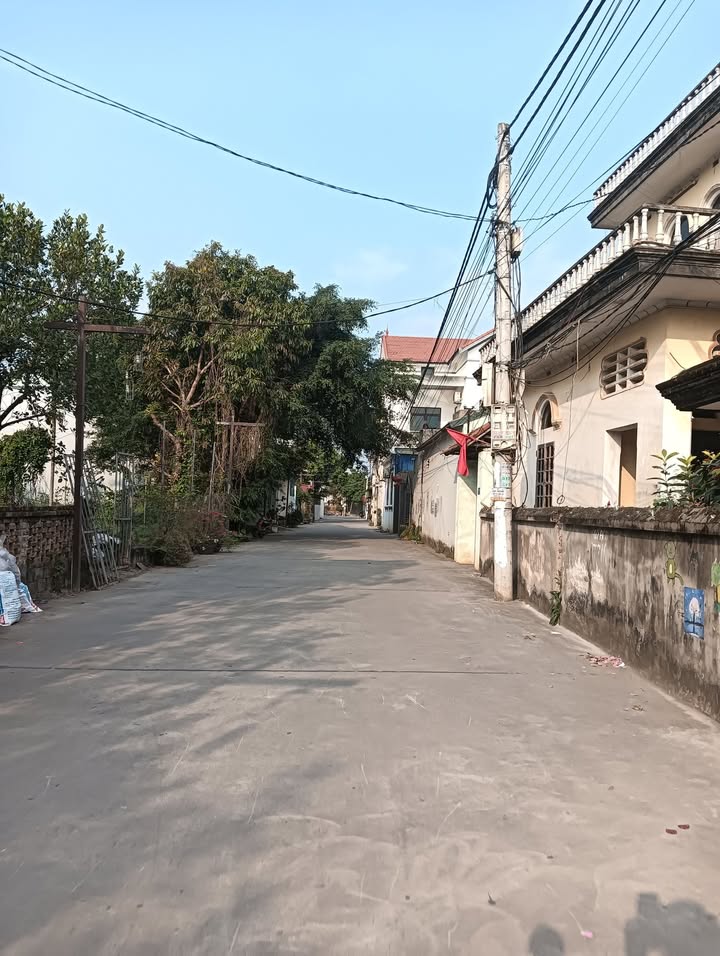 Đất nền Vân Tảo - Thường Tín 51.5m² giá 3.15 tỷ - Đầu tư sinh lời hấp dẫn!