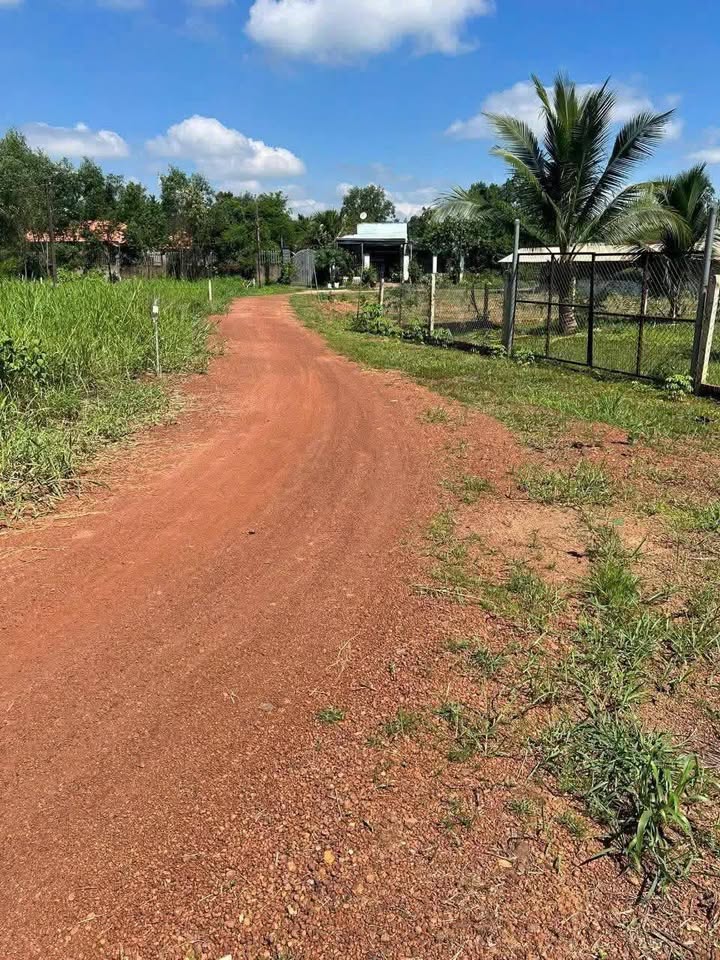 Đất nền 280m² tại ấp 5 Vĩnh Tân, Đồng Nai - Giá chỉ 530 triệu!