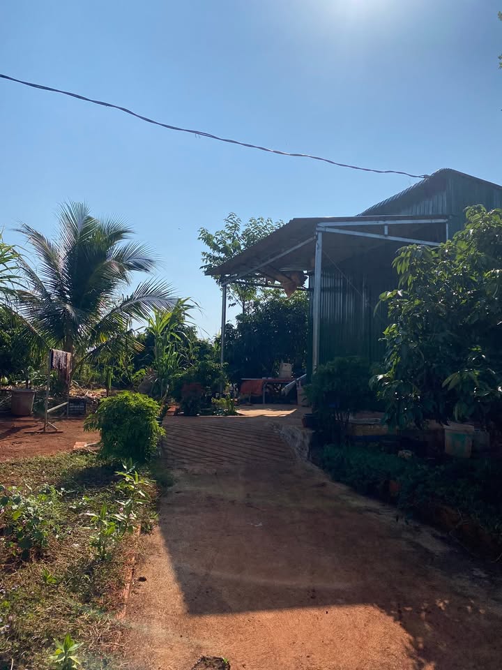 Đất nền 1ha tại xã Ia Ga, huyện Chư Prông - Giá thỏa thuận hấp dẫn!