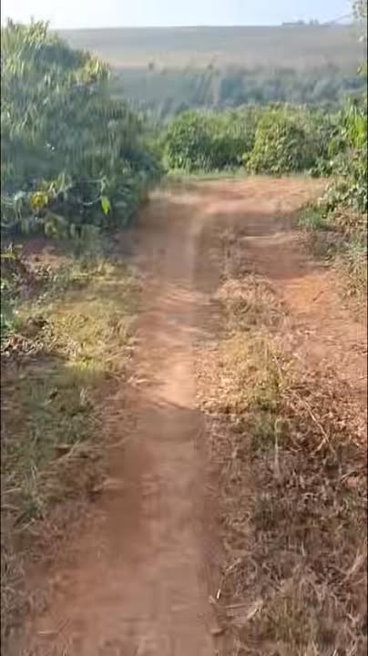 Đất farm 1.5ha tại xã HNoL, Đăk Đoa, Gia Lai - Sổ hồng chính chủ, giá chỉ 3 tỷ!