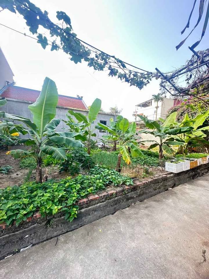 Đất nền Đông Côi, Ninh Xá 50.2m² giá 1.89 tỷ - Tiềm năng phát triển vượt bậc!