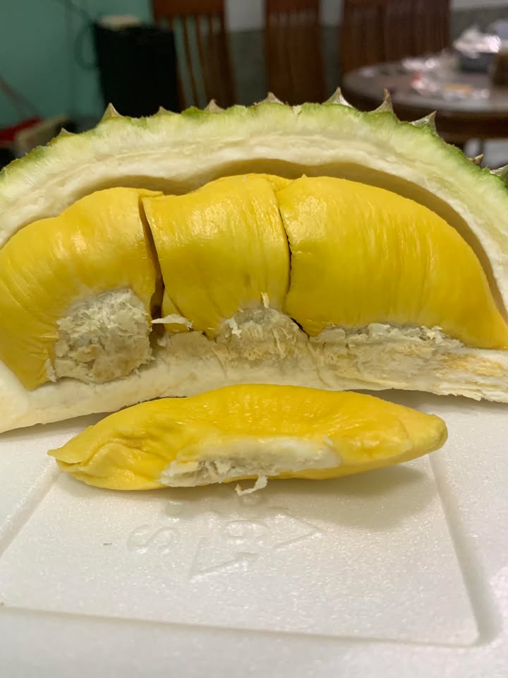 Đất nền 180m² tại Thị trấn Ma Đa Guôi, Đạ Huoai chỉ 1 tỷ - Cơ hội đầu tư hiếm có!