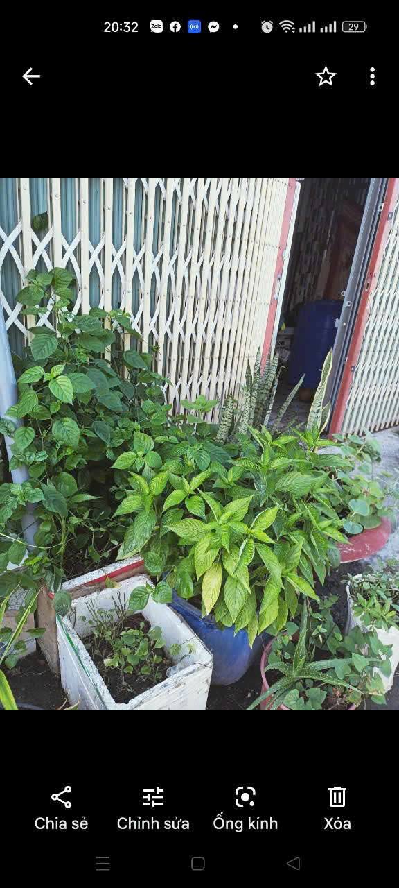 Nhà phố đường Trần Thị Thơm, TP Mỹ Tho 100m² giá 1.7 tỷ - Bán gấp chính chủ!