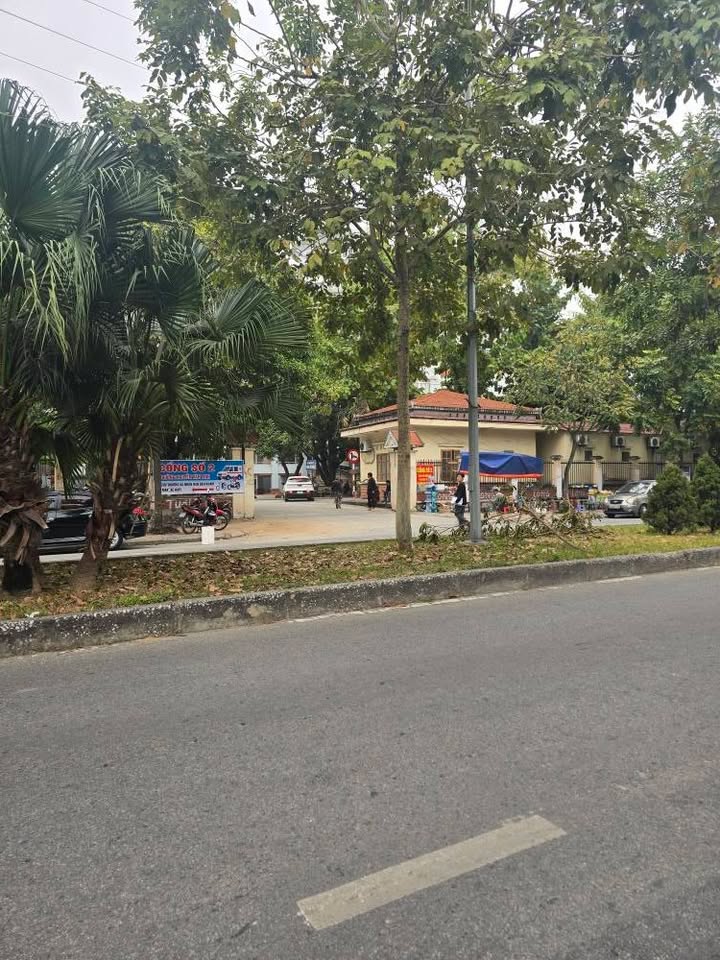 Đất nền Khu Newland Hải Dương 75m² giá 7.5 tỷ - Vị trí kinh doanh đắc địa!