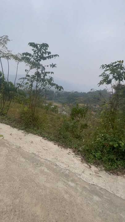 Đất thổ cư 504m² tại Thạch Khoán, Thanh Sơn - Giá thỏa thuận hấp dẫn!