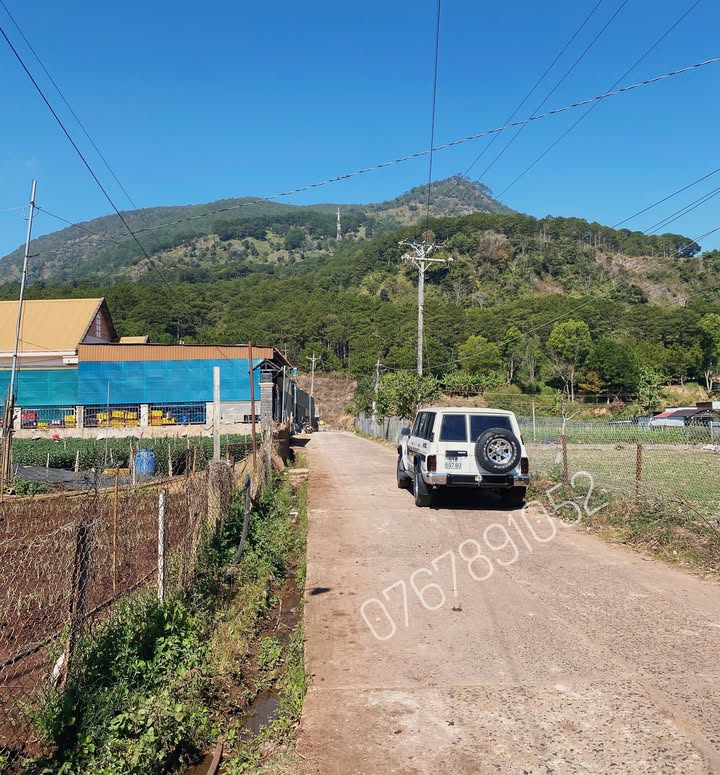 Đất nghỉ dưỡng Hiệp An, Đức Trọng 252m² giá chỉ từ 1.6 tỷ - Sổ hồng chính chủ!