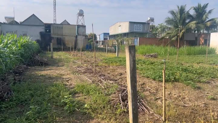 Đất thổ cư 240m² tại Xuân Tâm, Xuân Lộc, Đồng Nai - Chỉ 920 triệu!