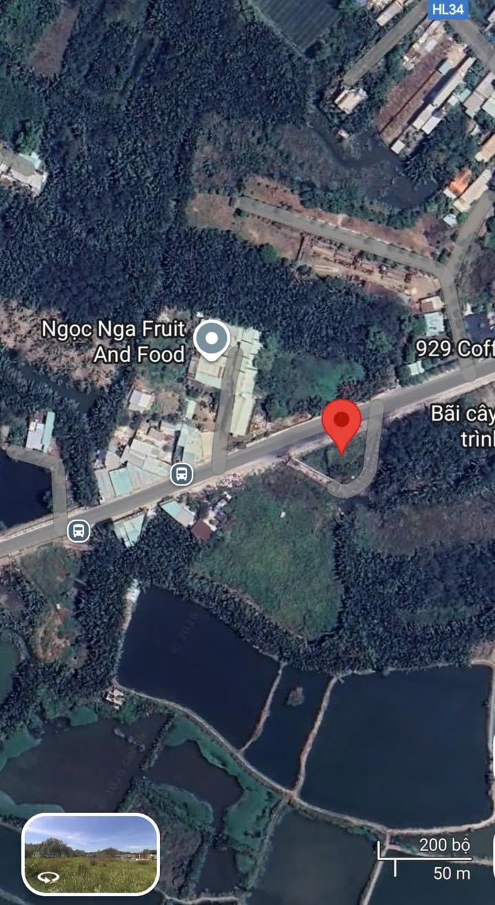 Đất nông nghiệp 905m² mặt tiền Nhơn Đức, Nhà Bè giá 9.5 tỷ - Đầu tư sinh lời lâu dài!