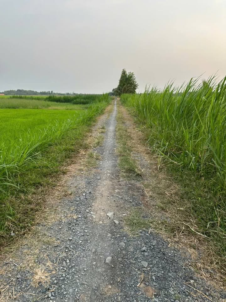 Đất nền mặt tiền đường Chu Văn An, Trà Vinh 120m² giá 1.4 tỷ - Pháp lý rõ ràng, sổ hồng sẵn!