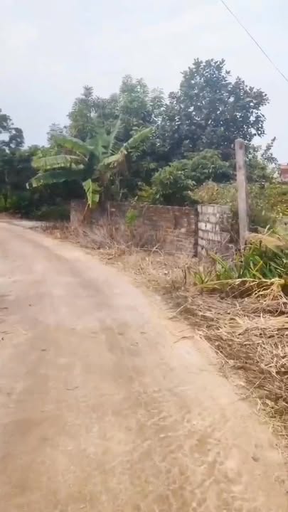 Nhà liền kề Đông Hưng, Lục Nam, Bắc Giang 165m² giá 60 tỷ - Đầu tư sinh lời ngay!