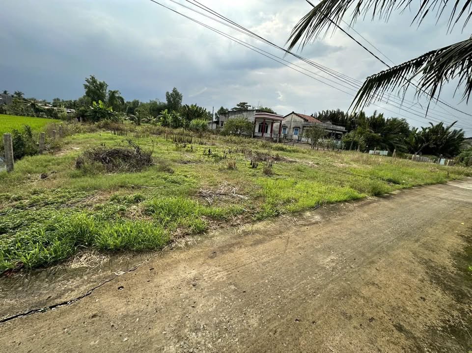 Đất vườn 1800m² tại Tân Phước Tây, Tân Trụ - Giá 2,5 tỷ, Sổ đỏ chính chủ!