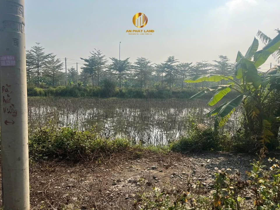 Đất nền khu Gia Vượng, Gia Viễn 126m² giá chỉ 1 tỷ - Sổ đỏ chính chủ!