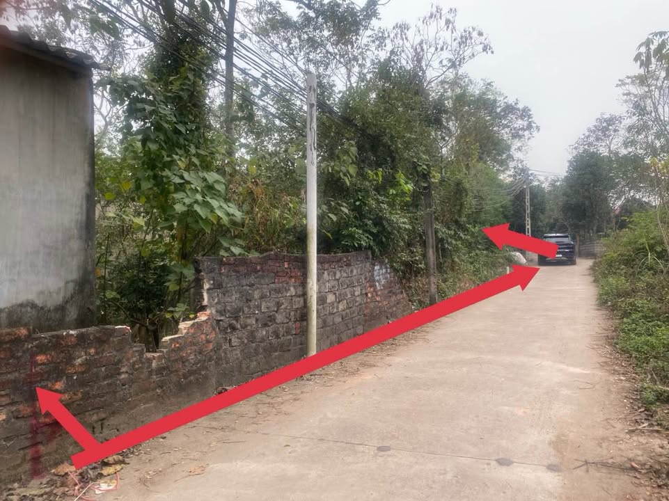 Đất thổ cư tại thôn Láng, Kim Long, 1000m² giá 2 tỷ - Sổ đỏ chính chủ!