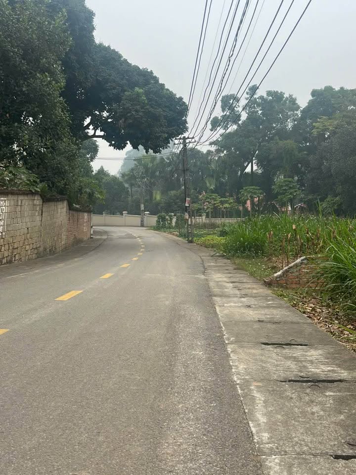 Đất nền khu 3 Thanh Đình, TP Việt Trì, 138m² giá 1 tỷ - Đầu tư hấp dẫn!