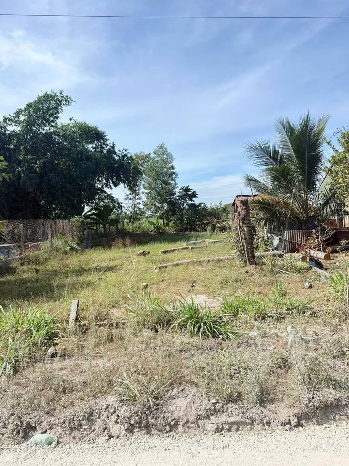 Đất nền Suối Đá Dương Minh Châu 145m² giá 290 triệu - Sổ hồng chính chủ, đầu tư sinh lời!