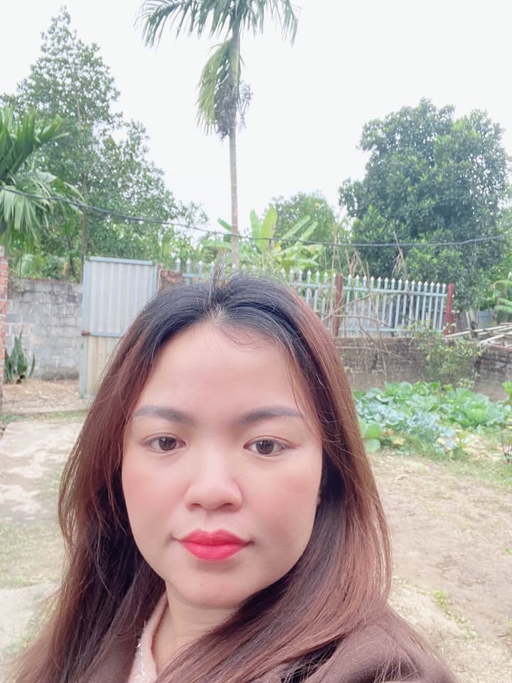 Đất nền 100m² tại Bắc Hạ - Huyện Sóc Sơn giá 3 tỷ - Cơ hội đầu tư hấp dẫn!