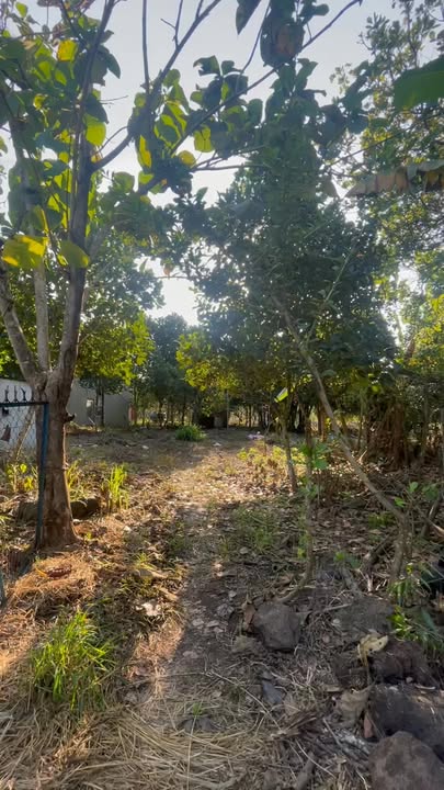 Đất dự án Định Quán 23.000m² giá 3.5 tỷ - Tiềm năng đầu tư lớn!