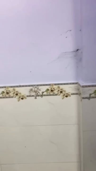 Nhà cấp 4 cho thuê tại Bình Chánh 52m² giá 3.5 triệu - Khu vực yên tĩnh, thuận tiện đi lại!