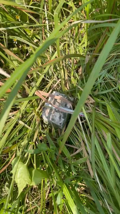 Đất nền ven sông Phú Mỹ, Quận 7, 90m² giá 8.6 tỷ - Cơ hội đầu tư tuyệt vời!