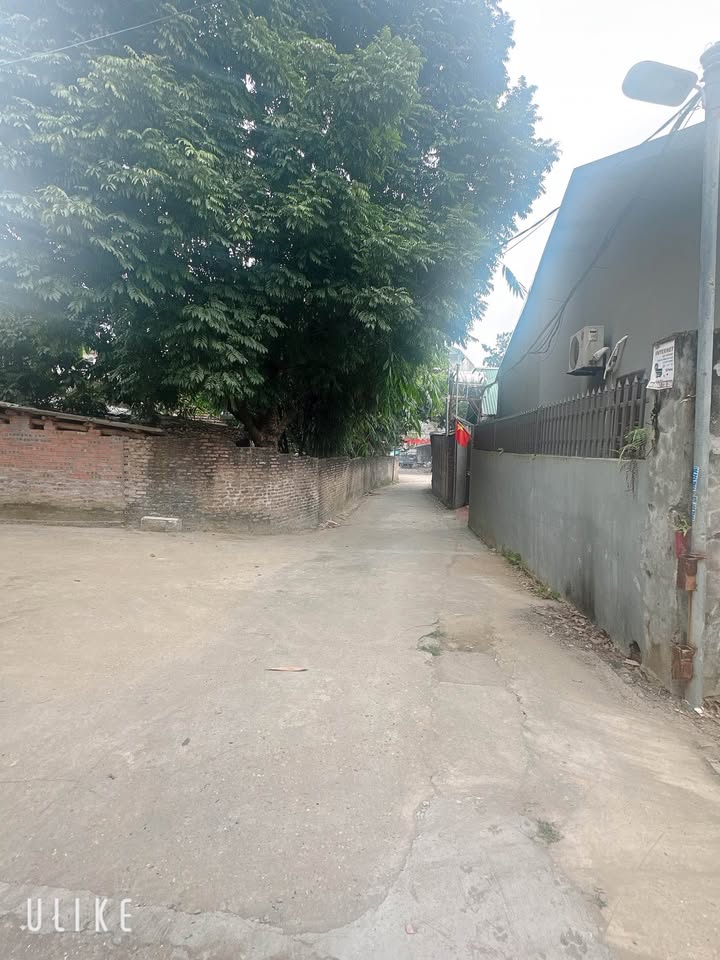 Đất Nền Phường Nông Trang Việt Trì 58m² giá 1.5 tỷ - Khu Dân Cư Sầm Uất!