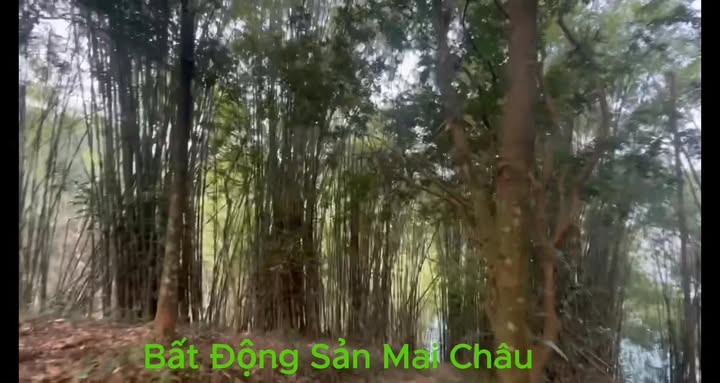 Đất du lịch Suối Lốn – Mai Châu 10.000m² giá thỏa thuận - Cơ hội đầu tư hấp dẫn!