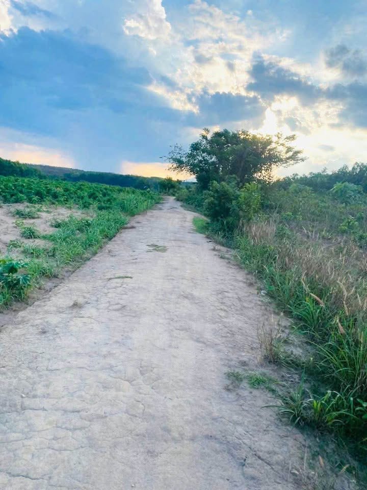 Lô đất thổ cư 522m² tại xã Đắk Cấm, giá chỉ 395 triệu - Cơ hội đầu tư tuyệt vời!