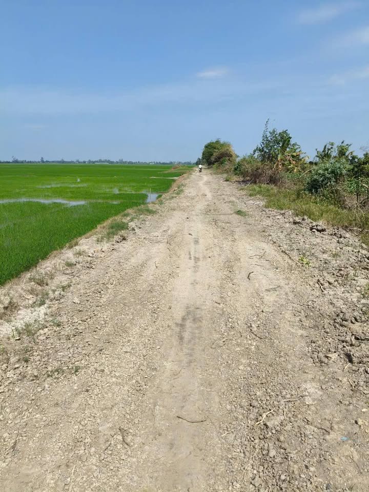 Đất nông nghiệp 60 công tại Xã Bình Thành, Thoại Sơn, An Giang - Giá tốt, thương lượng!