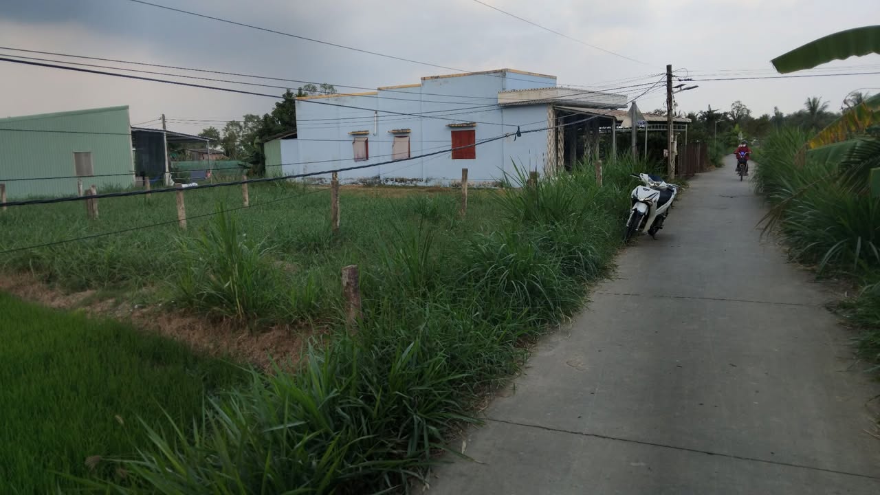 Đất thổ cư 143m² xã Long Vĩnh chỉ 250 triệu - Sổ hồng riêng, xe hơi vào tận nơi!