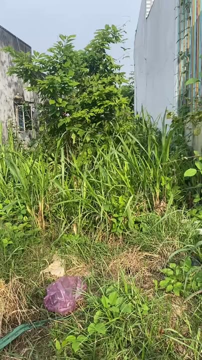 Đất thổ cư 140m² mặt tiền đường Đức Hòa Thượng giá chỉ 3.3 tỷ - Cơ hội đầu tư lý tưởng!