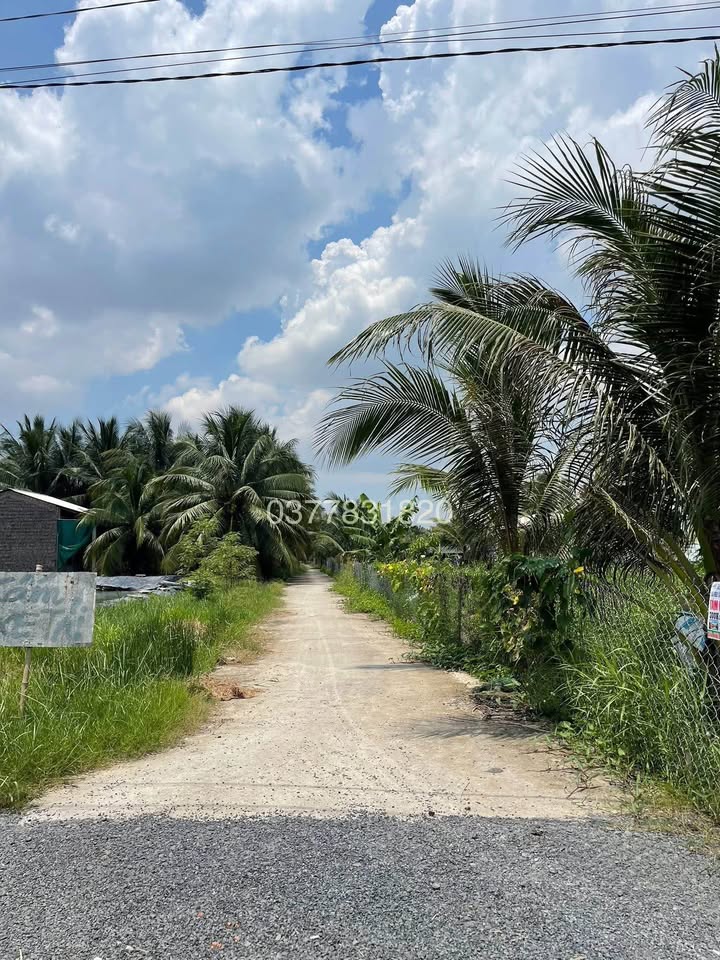 Đất mặt tiền chợ Sóc Ruộng, Long Đức 500m² giá 500 triệu - Sổ đỏ chính chủ