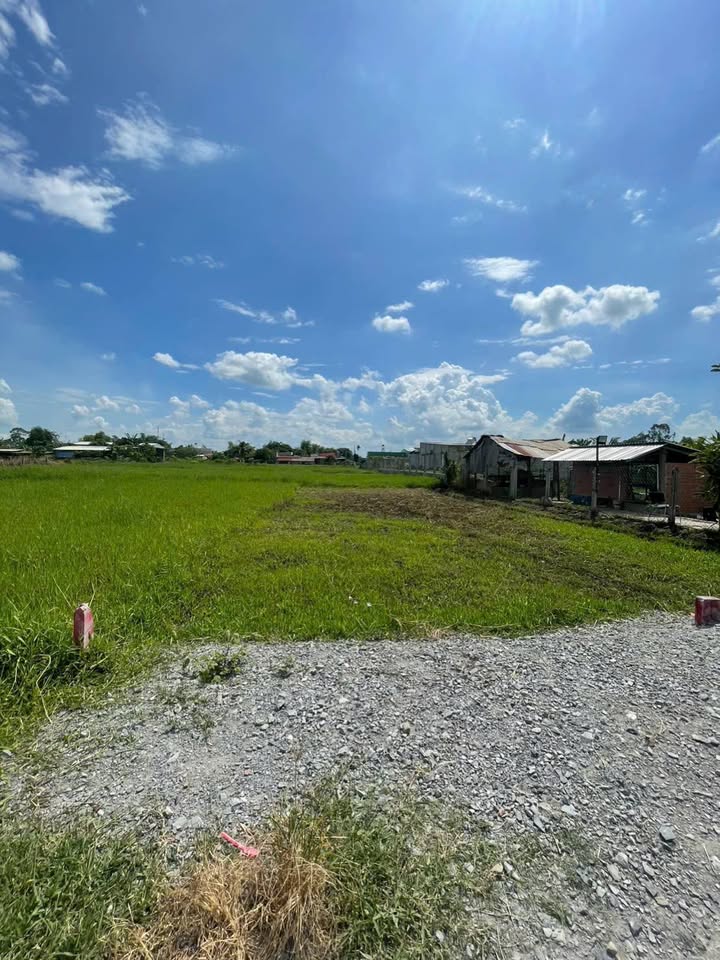 Đất thổ cư 150m² tại Hòa Khánh Đông, Đức Hòa - Giá chỉ 780 triệu!