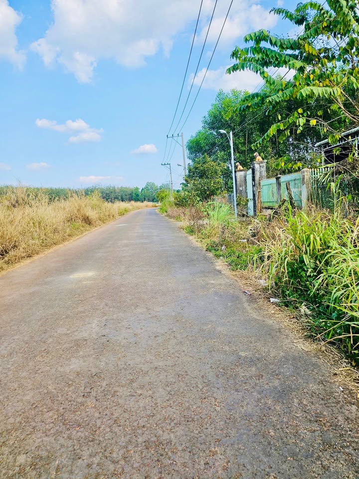 Đất nền xã Tân Lợi, Đồng Nai 387m² chỉ 300 triệu - Đầu tư sinh lời ngay