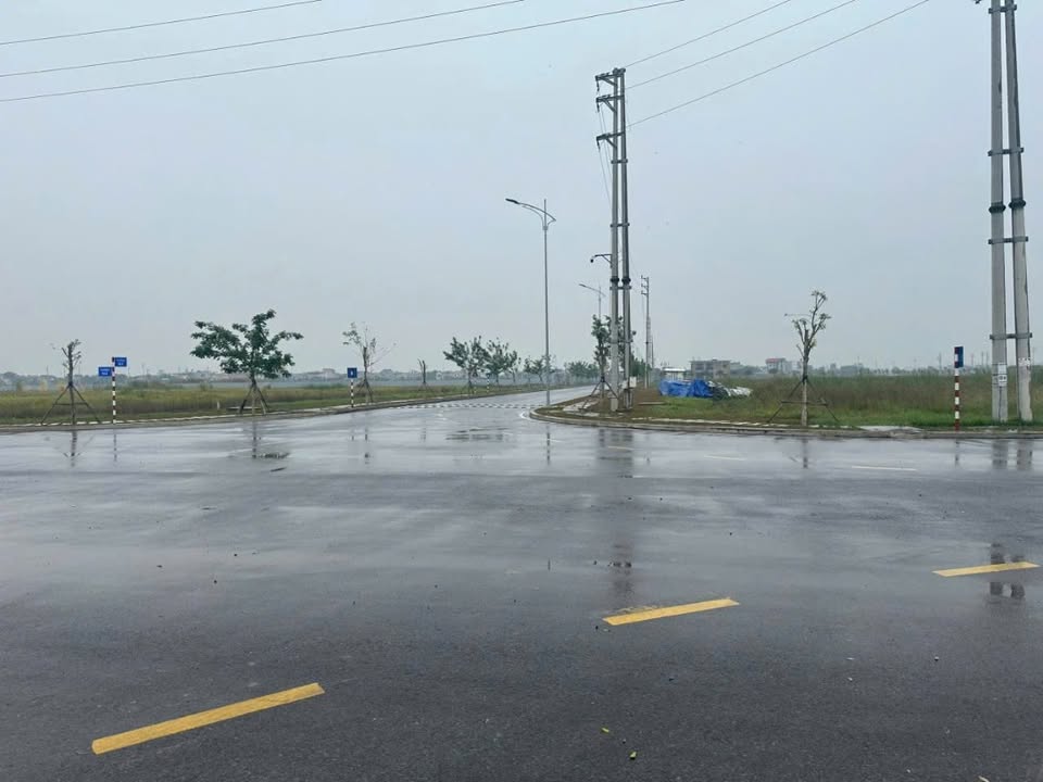 Đất dự án Phố Nối A Hưng Yên 7000m² - Vị trí chiến lược, hạ tầng đồng bộ!