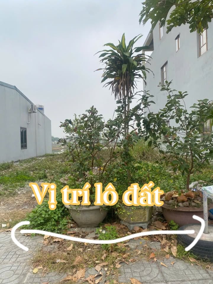 Đất liền kề tại Xã Gia Trấn - Diện tích 100m² - Hướng Nam, giá thỏa thuận!